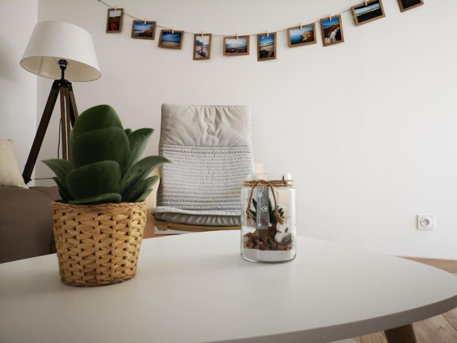 T3 - Appartement Jardin Wissant 6 Personnes Luaran gambar
